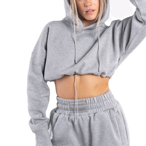 Haute qualité vêtements de rue pull femmes Crop Gym à capuche tenue décontracté respirant en gros vente chaude taille personnalisée sweats à capuche pour femmes - Product Image 6
