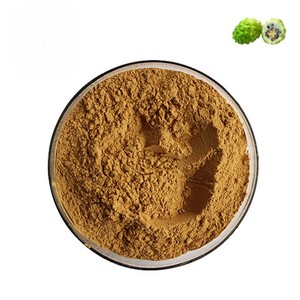 Extracto de Noni Premium 10:1 en Polvo, Grado Alimenticio, Extracto de Fruta Concentrado con Textura Fina, Fácil de Mezclar y Diluir - Product Image 1