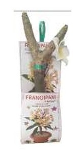 Meilleur arbre artificiel de frangipanier moderne et tendance en gros, articles décoratifs uniques pour la maison - Product Image 1