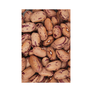Frijoles de riñón ligeros con granos pequeños de calidad de exportación disponibles para comercio al por mayor y socios comerciales en todo el mundo - Product Image 4