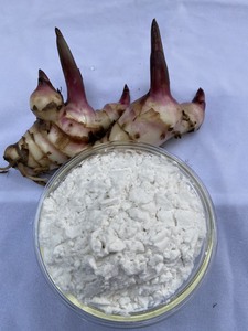 Poudre d'amidon d'arrowroot biologique, goût naturel, pour aliments et ingrédients, emballée en sachet, provenant du Vietnam - Product Image 4