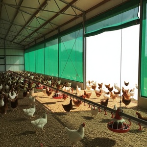 Servicio de Fabricación y Corte de Malla de Plástico Verde para Sombreo de Césped, Marca FORTUNE AGRO NET, Hecho en India - Product Image 2