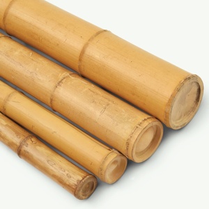 Natural Bamboo <b>Pole</b> Made in Vietnam Bamboo <b>Poles</b> Plant Raw Material <b>for</b> <b>Gardening</b> and Farming - Product Image 4