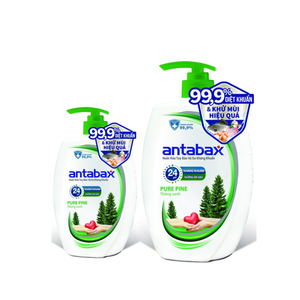 Hot Selling Antibacterial Hand <b>Soap</b> Pure Pine 250ml Antabax Brand Germ Protection Hand Wash Competitive Price Wholesale Export - Product Image 2
