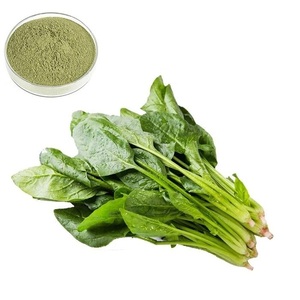 Polvo de extracto de hierbas de espinaca de grado alimenticio en embalaje de tambor Producto de extracto de planta Premium - Product Image 4