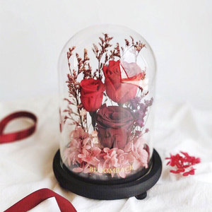 Nhà Máy 2025 Giá Hiện Đại Thanh Lịch <span class=keywords><strong>Acrylic</strong></span> Quảng Cáo Hiển Thị Cao <span class=keywords><strong>Dome</strong></span> Cao Cấp Cho Cho Con Số Đồ Chơi May Mặc Hiển Thị - Product Image 6