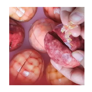 2024ร้อน | เสาวรสอบแห้งราคาดีจากซัพพลายเออร์เวียดนาม-ตัวเลือกที่เหมาะสำหรับคุณ/ms.thi - Product Image 3