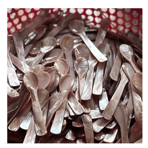 Best price Mother Of Pearl Spoon Handcrafted <b>shell</b> spoon for coffee tea stirring and restaurant tabletop presentation Vietnam - Product Image 6