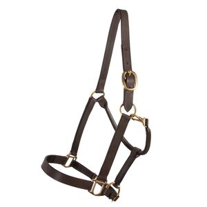 Cabestro de Cuero Vacuno Argentino Premium para Caballos de Equitación Western, Decorado con Turquesa, Cabeza de Cocodrilo y Cabeza de Toro - Product Image 4