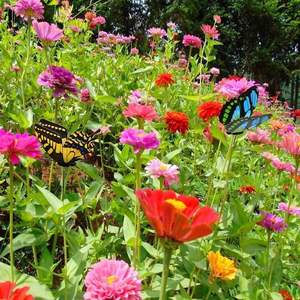 Decoración de Jardín con Mariposas, Estacas de Metal para Plantas, Letreros Decorativos para Exteriores - Product Image 6