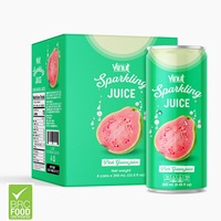 Voor VINUT Vietnam Fabriek 320ml Kokos Sprankelende Sap Zuurzak Passievrucht Mango Watermeloen Ananas Fruit Groente Sap Privé