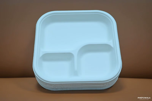 Plato Desechable de Bagazo de 9 Pulgadas al por Mayor, Biodegradable, de Pulpa de Caña de Azúcar, Vajilla Ecológica para Servicio de Alimentos y Comida para Llevar - Product Image 4