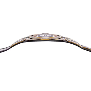 Ceinture de championnat de lutte Design 2026, la plus vendue, avec sangle de couleur unique et de qualité supérieure - Product Image 2