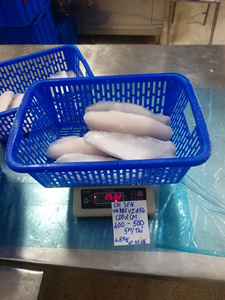 Filete de Pangasius Blanco IQF Premium 10-12cm Grado A con Glaseado Flexible, Empaque Personalizado, Vietnam - Product Image 3