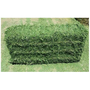 Heno de Alfalfa para Alimentación Animal, Heno de Alfalfa/Pellets de Heno de Alfalfa, Heno de Timothy/Alfalfa en Pacas, la Mejor Calidad Superior - Product Image 5