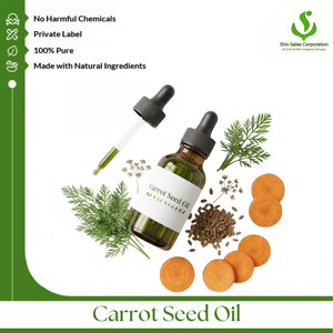 Distributeur en gros d'huile essentielle de graines de carotte naturelle, proposant des approvisionnements en vrac de qualité supérieure pour les fabricants internationaux - Product Image 1