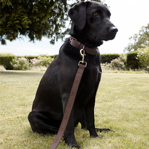 Luxury Classic Heavy Duty Rope <b>Dog</b> <b>Leash</b> Comfortable Leather Handle Solid Pattern Highly Reflective Threads Dry Clean - Product Image 2