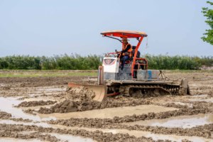 Tractor de orugas turbo HOGICO HG-80VN de 80HP, diésel, con orugas de goma, maquinaria agrícola para campos de arroz - Product Image 2