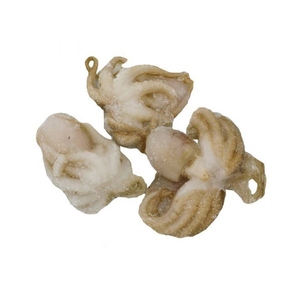 Poulpe bébé entier frais congelé de haute qualité, poulpe congelée de qualité supérieure à vendre. - Product Image 2