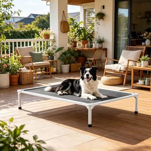 Cuccia Rialzata Sostenibile XL per Cani e Gatti da Interno, Rimovibile e Lavabile - Product Image 6