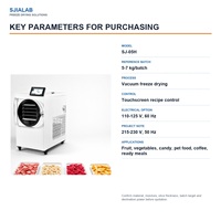 SJ-05H 5-7kg Batch Vacuümvriesdroogmachine voor de verwerking van mango, ananas, banaan en drakenvrucht