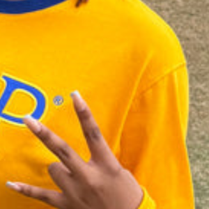 Camiseta Personalizada SGRHO de Manga Larga para Mujer, con el Logotipo de la Hermandad Griega Sigma Gamma Rho, Cuello Redondo, Informal, de Algodón, Venta al Por Mayor - Product Image 5