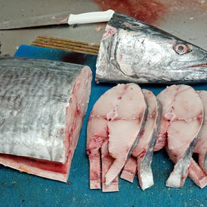 เนื้อปลาคิงฟิชแช่แข็งพรีเมียม เนื้อฉ่ำสำหรับผู้ซื้อขายส่งและตลาดโลก - Product Image 5