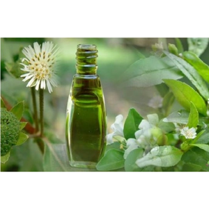 Premium <b>Bhringraj</b> <b>Oil</b> Natural <b>Oil</b> for Healthy Hair and Scalp Care for Best Price - Product Image 5
