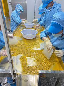 Cubes de fruit de la passion congelés 100% purs, sans eau ajoutée, fruit de la passion congelé du Vietnam pour boisson, fruit de la passion jaune pur - Product Image 4