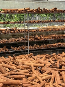 Natural Vietnamese Cassia <b>Cinnamon</b> Premium Grade With Strong <b>Sweet</b> Aroma - Product Image 5