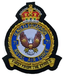 Ufficiale squadron blazer distintivo di stoffa stemma canadese RAF crest distintivi di ricamo a mano di dimensioni personalizzate