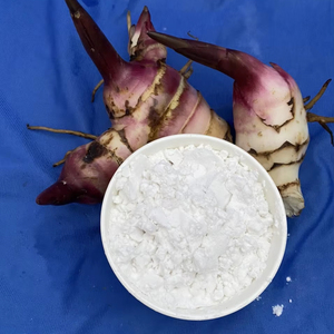 Poudre d'amidon d'arrowroot biologique de qualité supérieure, goût naturel, pour aliments et ingrédients, emballée en sac, provenant du Vietnam - Product Image 1