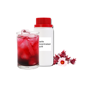 Jus de fruits concentré de haute qualité inspiré des boissons rafraîchissantes, idéal pour les boissons glacées - Product Image 2