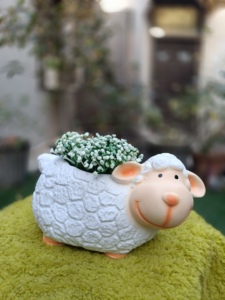 Maceta Decorativa de Escritorio con Forma de Mini Hipopótamo, Pintada a Mano, Ecológica, Minimalista, Ligera y Duradera, para Hogar y Jardín - Product Image 6