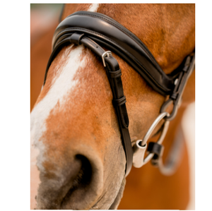 Brida de Cuero Profesional de Alta Calidad para Caballos, Transpirable, Modelo Personalizado 10124bl, Tamaño 2x3x2m, Venta Caliente, China, Equitación - Product Image 3