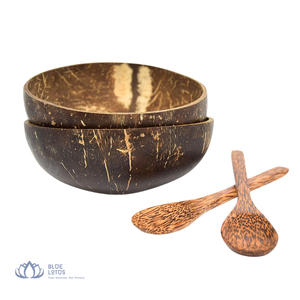 [MEJOR VENDIDO] |   Tazón Ecológico de Cáscara de Coco Hecho a Mano, Plato para Servir, Recipiente de Almacenamiento para Mesa de Hotel o Cafetería, de Vietnam - Product Image 1