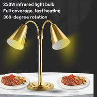 Nouvel équipement de cuisine commercial : Lampe chauffante électrique pour buffet, idéale pour la restauration