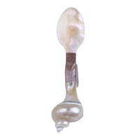 Cuillère en coquillage du désert écologique avec bougie sculptée à la main, cuillère en coquillage du Vietnam, grossiste
