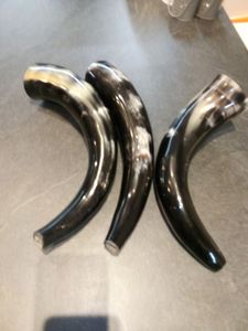 Viking Exclusive Natural Buffalo Ox War Trumpet Horn Custom Made Animal Style Blowing Horn Directly From Manufacturer - Product Image 3