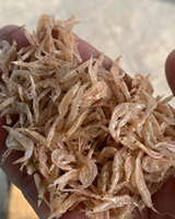 Crevettes miniatures de qualité supérieure pour l'alimentation animale – Source naturelle de protéines en provenance du Vietnam