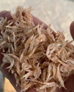 Camarones Pequeños Premium para Alimentación Animal – Fuente Natural de Proteína de Vietnam - Product Image 2