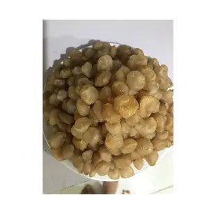 베트남 제조 말린 longan-저렴한 Longan 펄프-프리미엄 longan 제품 맞춤형 포장 로고가있는 이국적인 과일 스낵