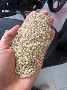 Exportateur en gros de riz japonica Tien Giang du Vietnam, proposant un riz à grains courts de qualité supérieure, excellente qualité de cuisson, durée de conservation de 24 mois - Product Image 3