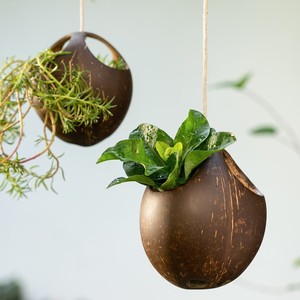 Maceta colgante con cuerda de coco, maceta decorativa de cáscara de coco, macetas para plantas de exterior. - Product Image 4