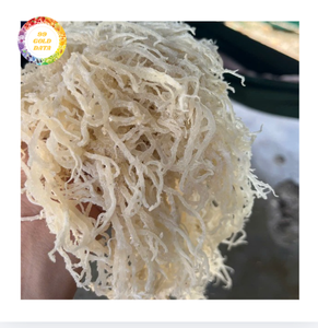 Suministro a Granel de Algas Cottonii Secas, Planta Marina Natural, Materia Prima para la Producción de Carragenano, Suministro Profesional para Exportación Global - Product Image 1