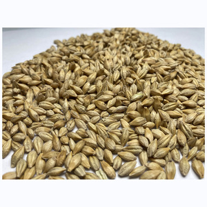 Hot Sales Organic Malting <b>Barley</b> / Whole <b>Barley</b> Grains - Product Image 1