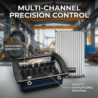 Sistema de Control Remoto Inalámbrico Hidráulico Proporcional de 6 Canales NM-047 con Salida PWM para Maquinaria de Construcción