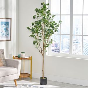 Albero di Eucalipto Artificiale da 71 Pollici per Arredamento Domestico, Elegante e Resistente per Uso Interno - Product Image 3