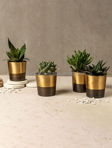Maceta de latón de dos tonos de alta calidad con acabado recubierto de polvo para el hogar y el jardín que complementa su espacio vital - Product Image 4