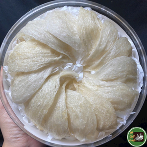 Nido de Pájaro Comestible Hecho con Material Natural de Nido de Golondrina Seco para Preparación de Sopas y Postres 99 Dold Data de Vietnam - Product Image 1